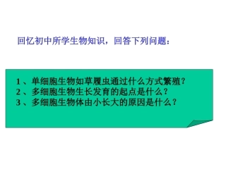 二2细胞增殖