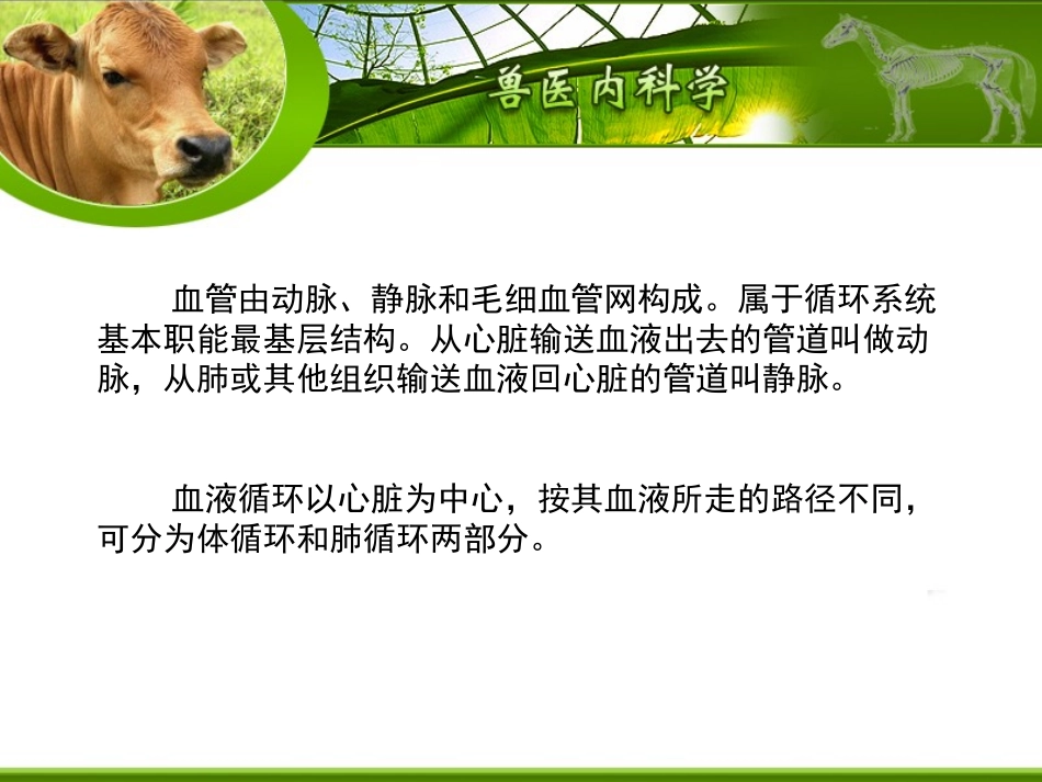 第三章 循环_第2页