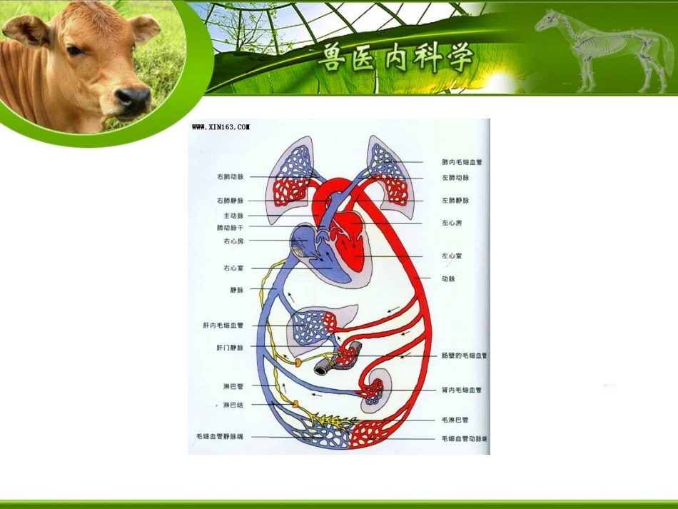 第三章 循环_第3页