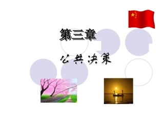 第三章 公共决策