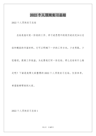 2024个人顶岗实习总结