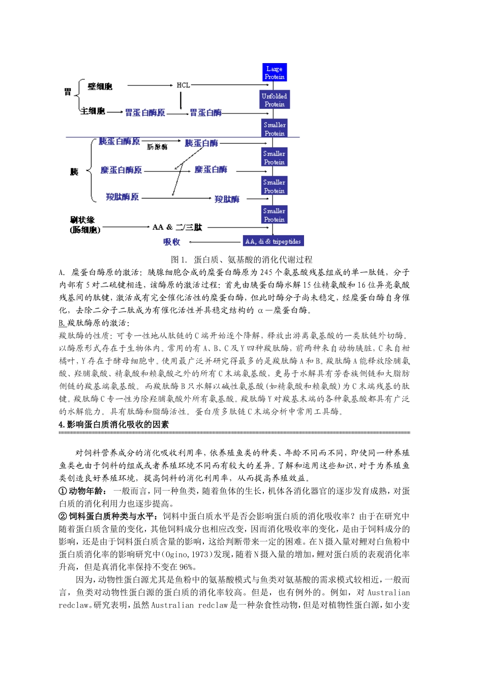 第三章  鱼类营养学原理蛋白质营养影响蛋白质消化率因素_第2页