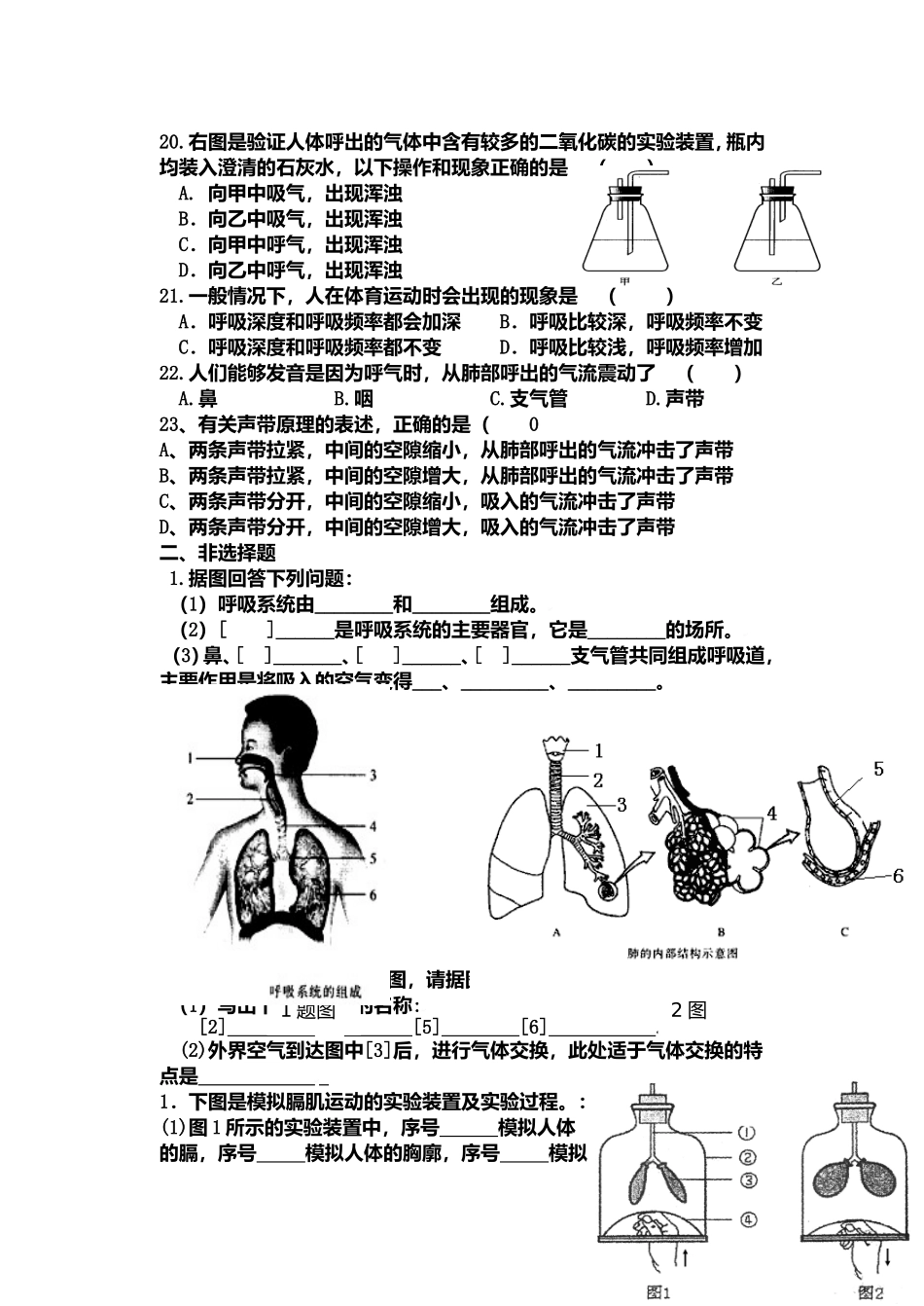 第三章  人体的呼吸_第3页