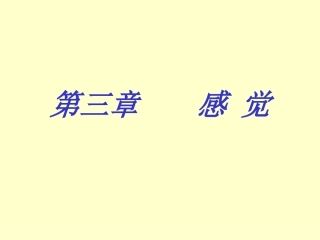 第三章      感觉