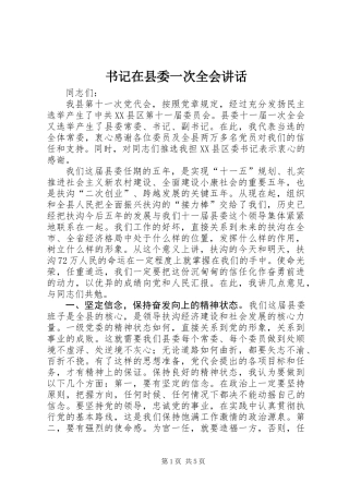 书记在县委一次全会讲话