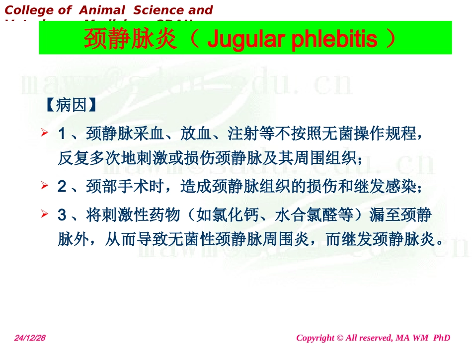 第七讲 颈部疾病_第2页