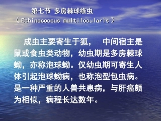 第七节 多房棘球绦虫