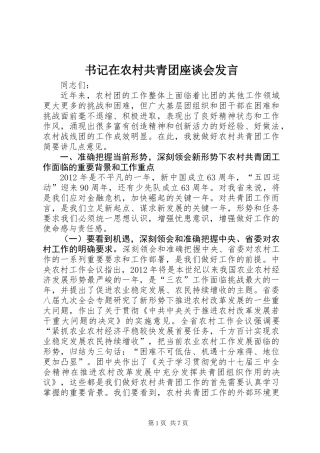 书记在农村共青团座谈会发言