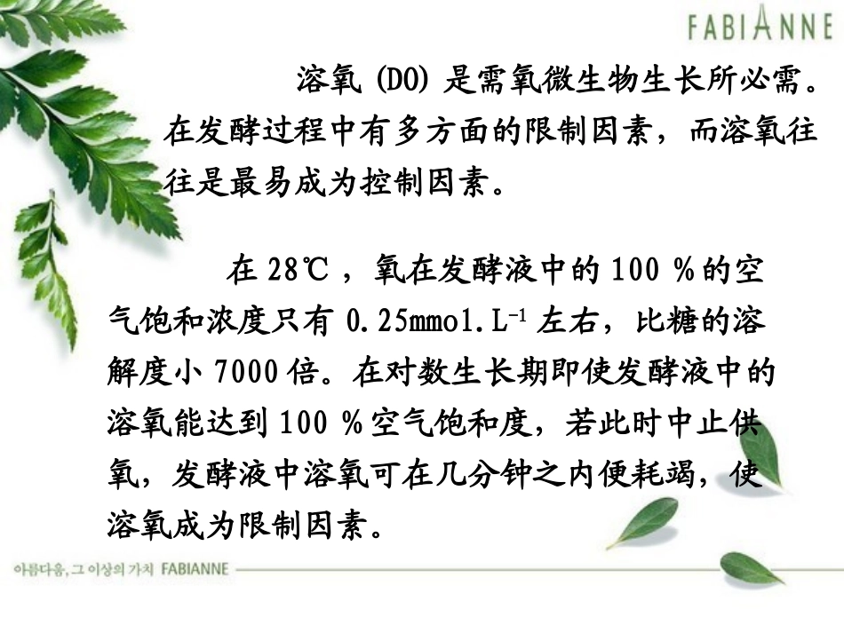 第七章溶解氧对发酵的影响及控制(5)_第2页