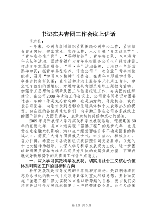 书记在共青团工作会议上讲话
