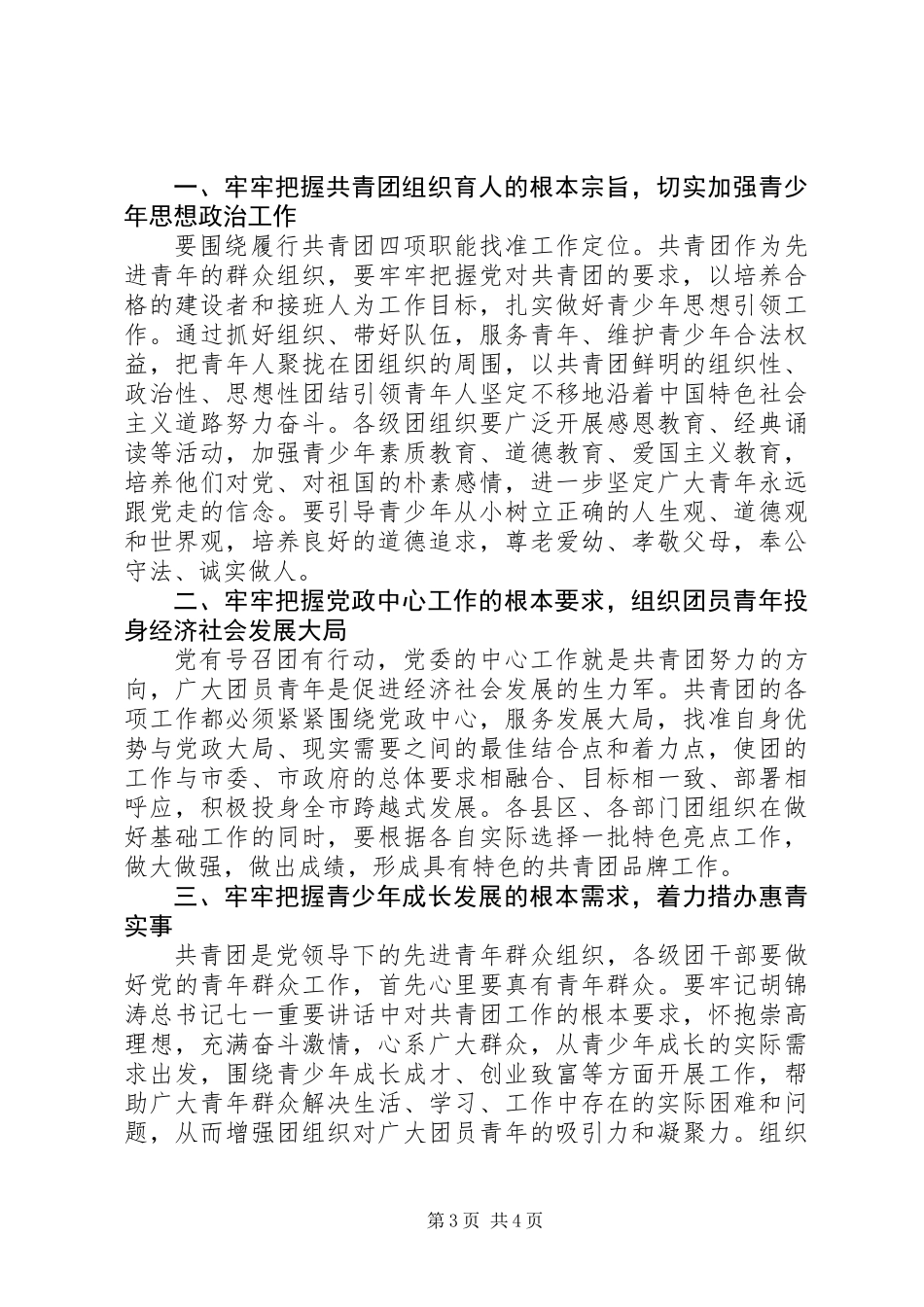 书记在共青团座谈会发言_第3页
