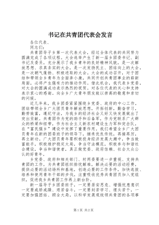 书记在共青团代表会发言