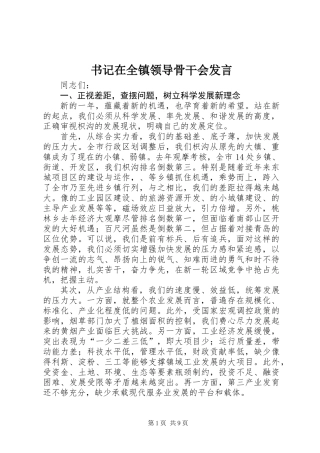 书记在全镇领导骨干会发言