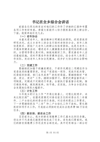 书记在全乡综合会讲话