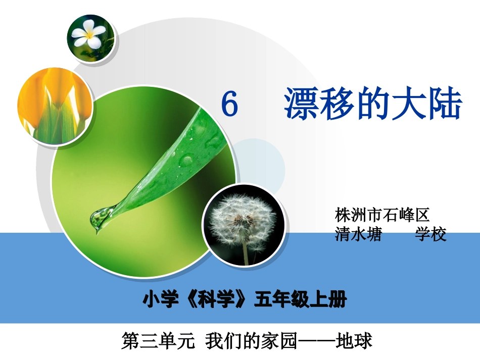 漂移的大陆教学课件_第2页