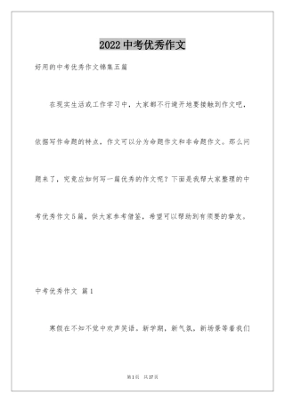 2024中考优秀作文_8