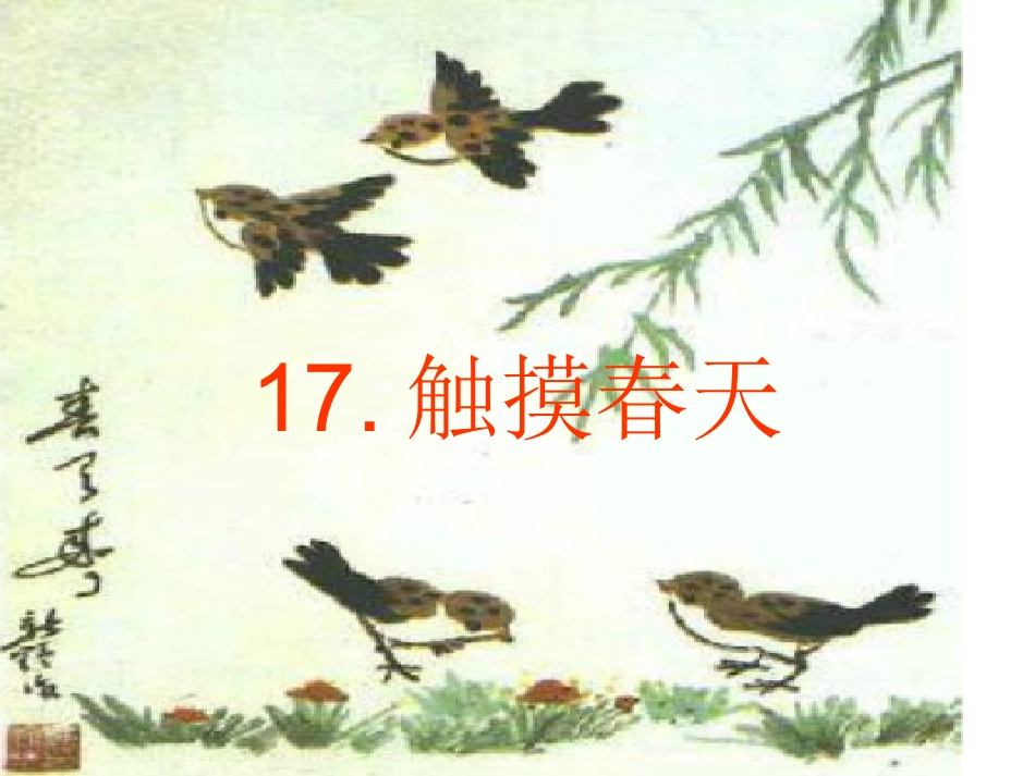《17触摸春天》演示文稿1_第1页