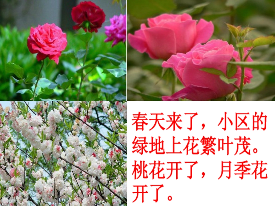 《17触摸春天》演示文稿1_第3页