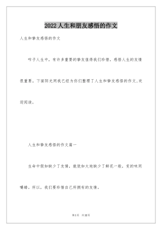 2024人生和朋友感悟的作文