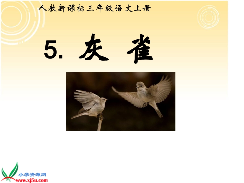 人教版三年级语文上册《灰雀》PPT课件_第1页