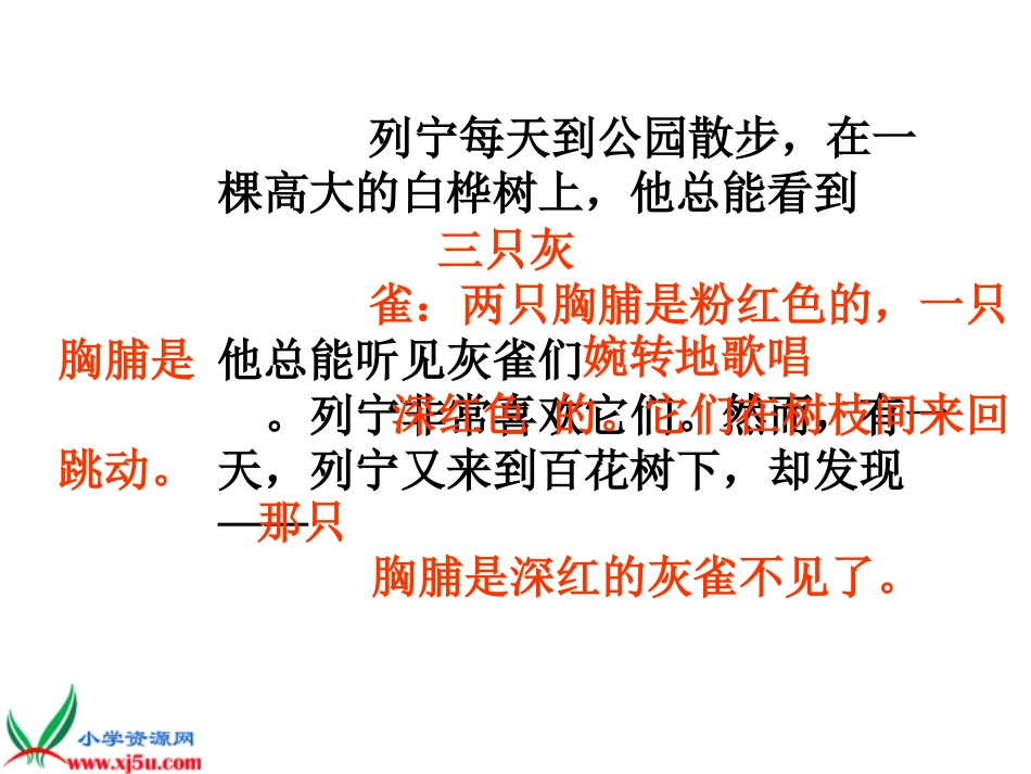 人教版三年级语文上册《灰雀》PPT课件_第3页