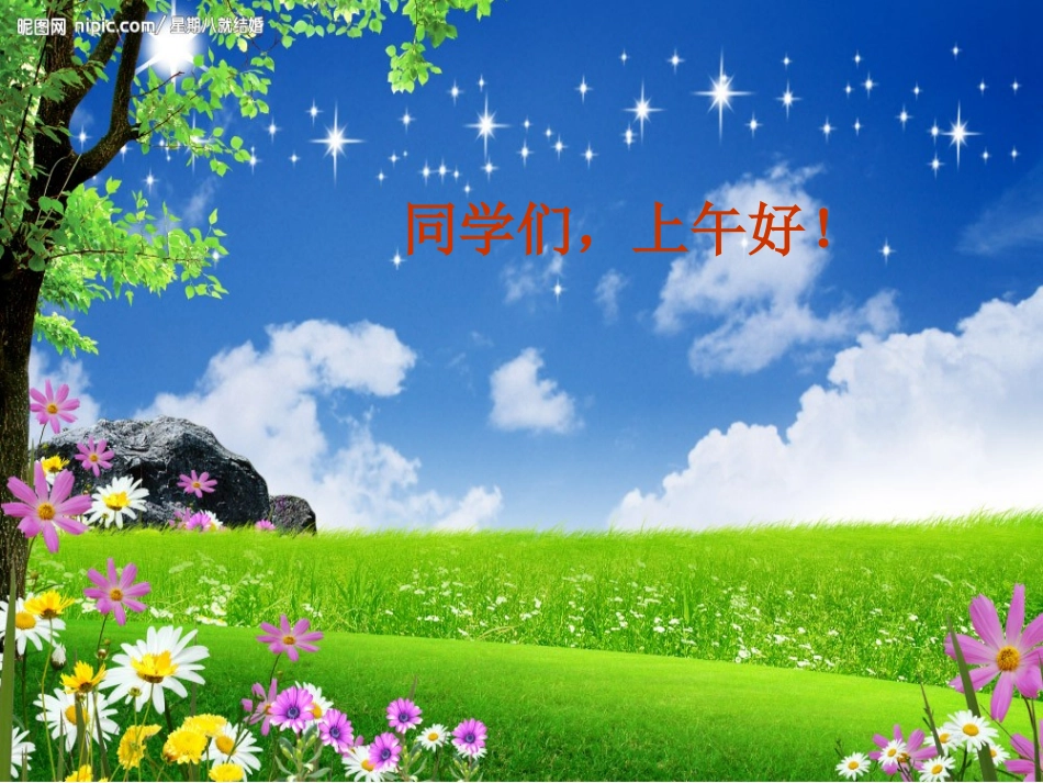 杨白杨《桥》课件_第1页