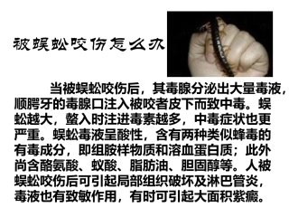 蜈蚣咬伤后的处理