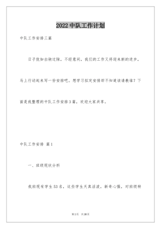 2024中队工作计划_3