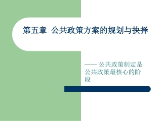 第一节公共政策目标