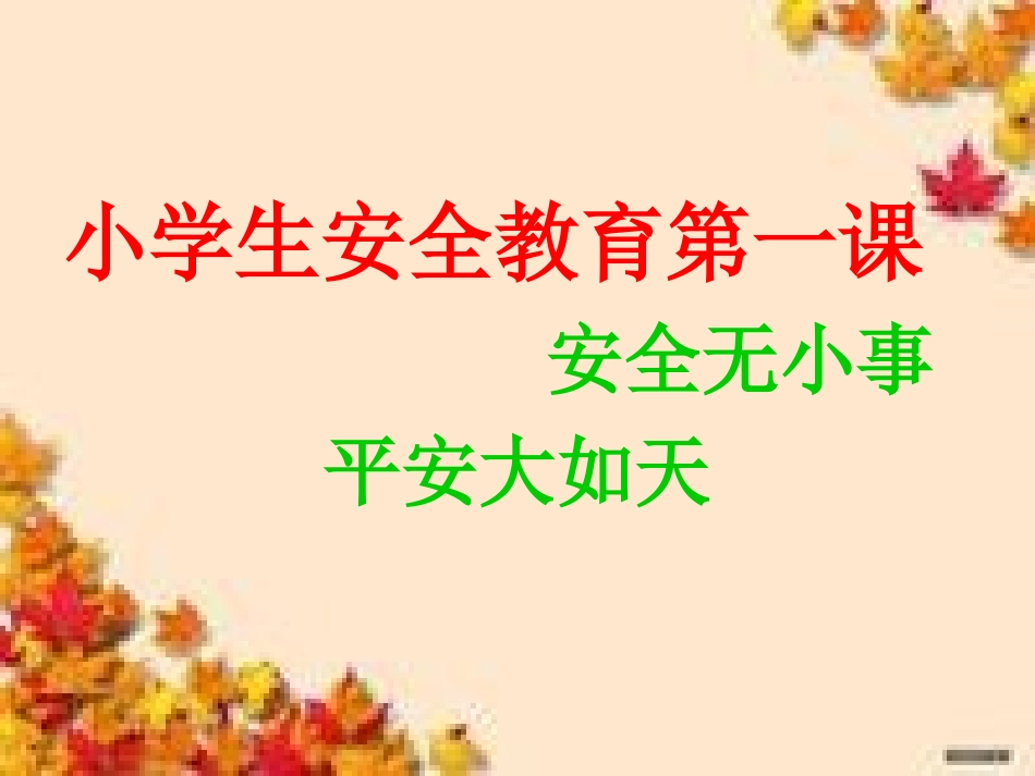 小学生安全教育第一课《安全无小事平安大如天》课件_第1页