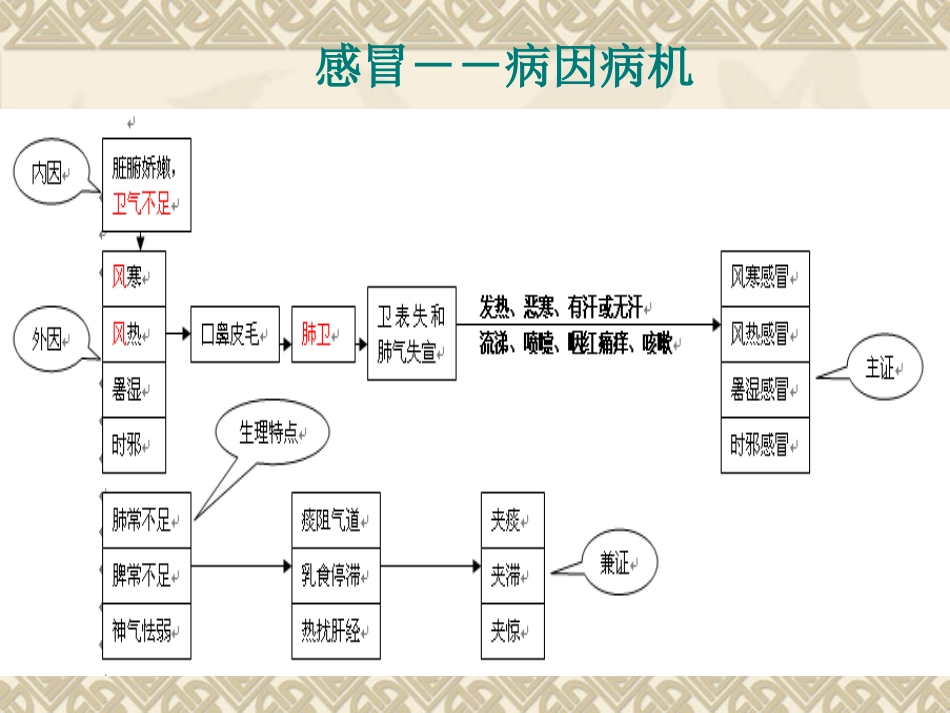 第一节 感冒_第3页