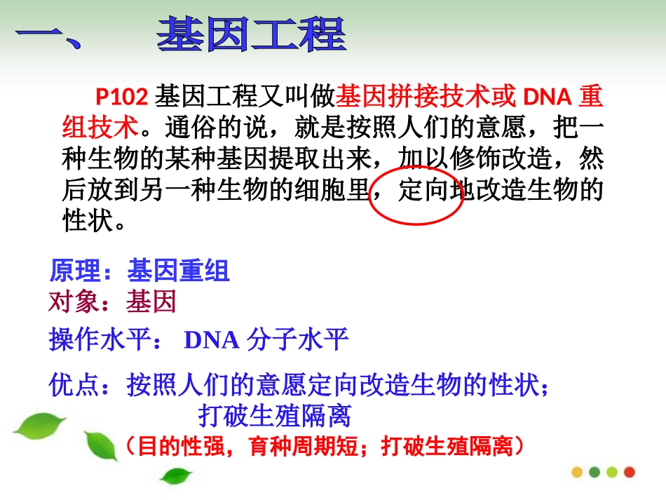 基因工程及其应用_第3页