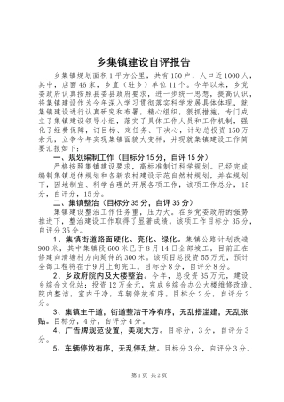 乡集镇建设自评报告