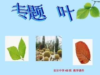 八年级语文叶专题