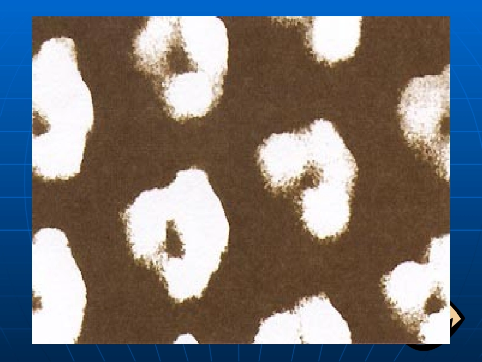 课题1分子和原子_第2页