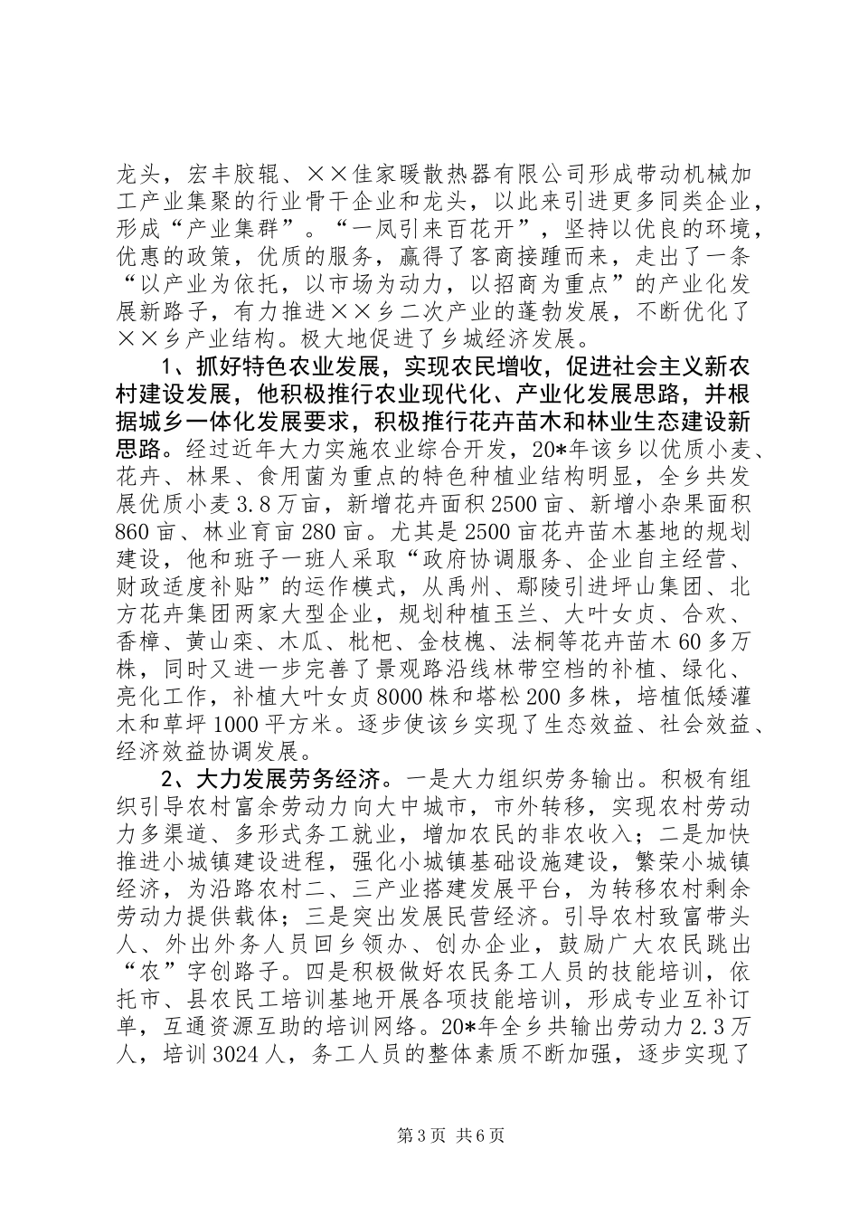 乡长富民强乡事迹材料_第3页
