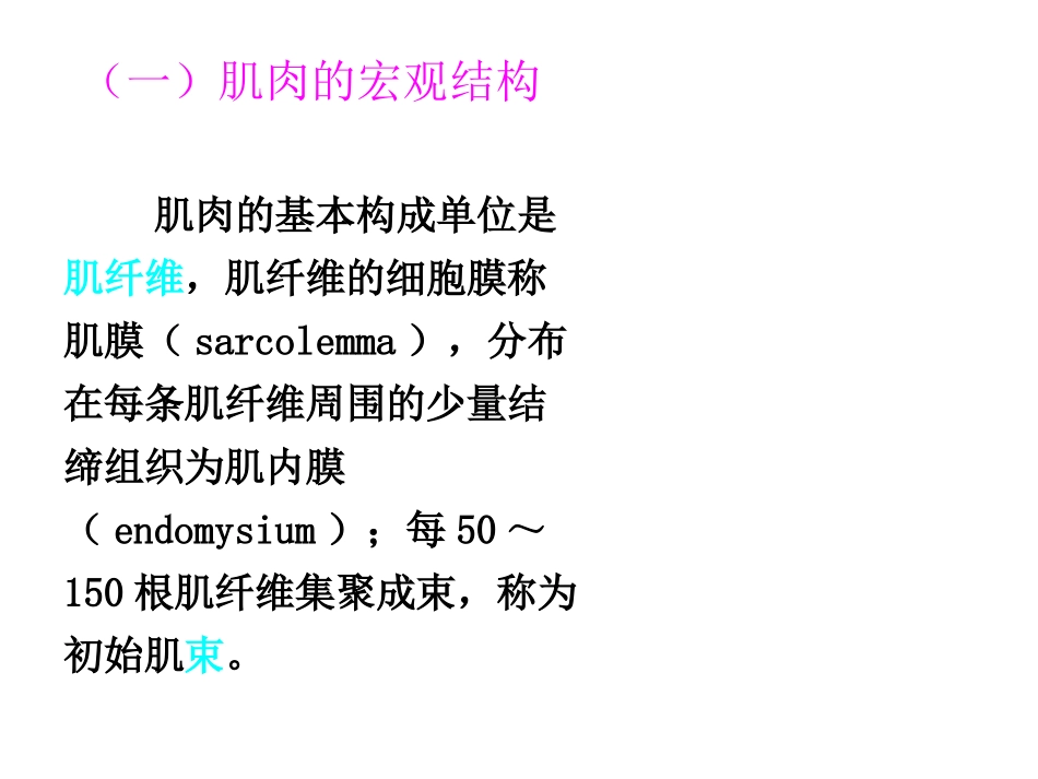 第一章肉的结构及特性_第3页