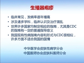 生殖器疱疹诊疗指南10-9月共42页