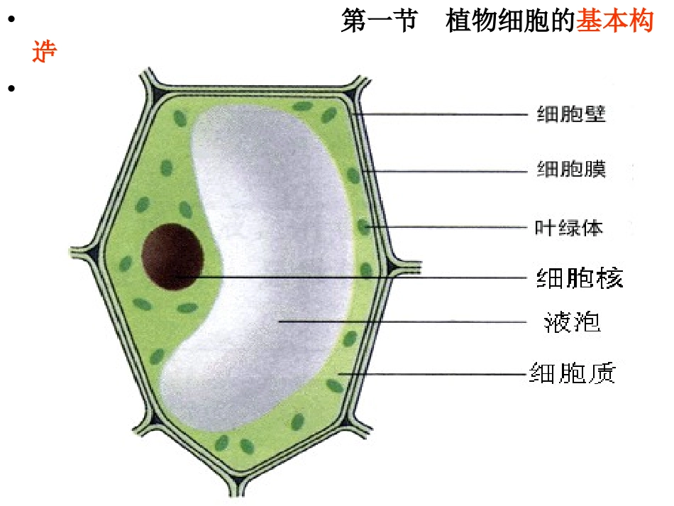 第一章、细胞(执行稿)_第2页