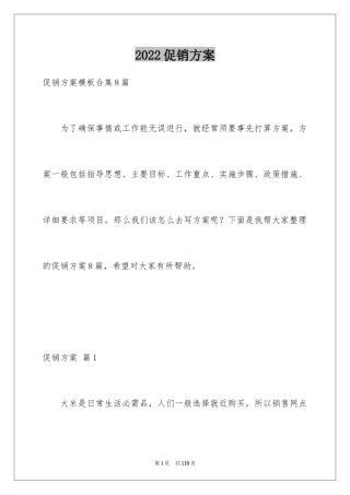 2024促销方案_87