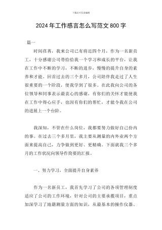 2024年工作感言怎么写范文800字