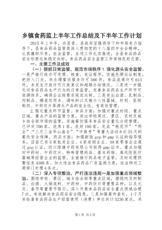 乡镇食药监上半年工作总结及下半年工作计划