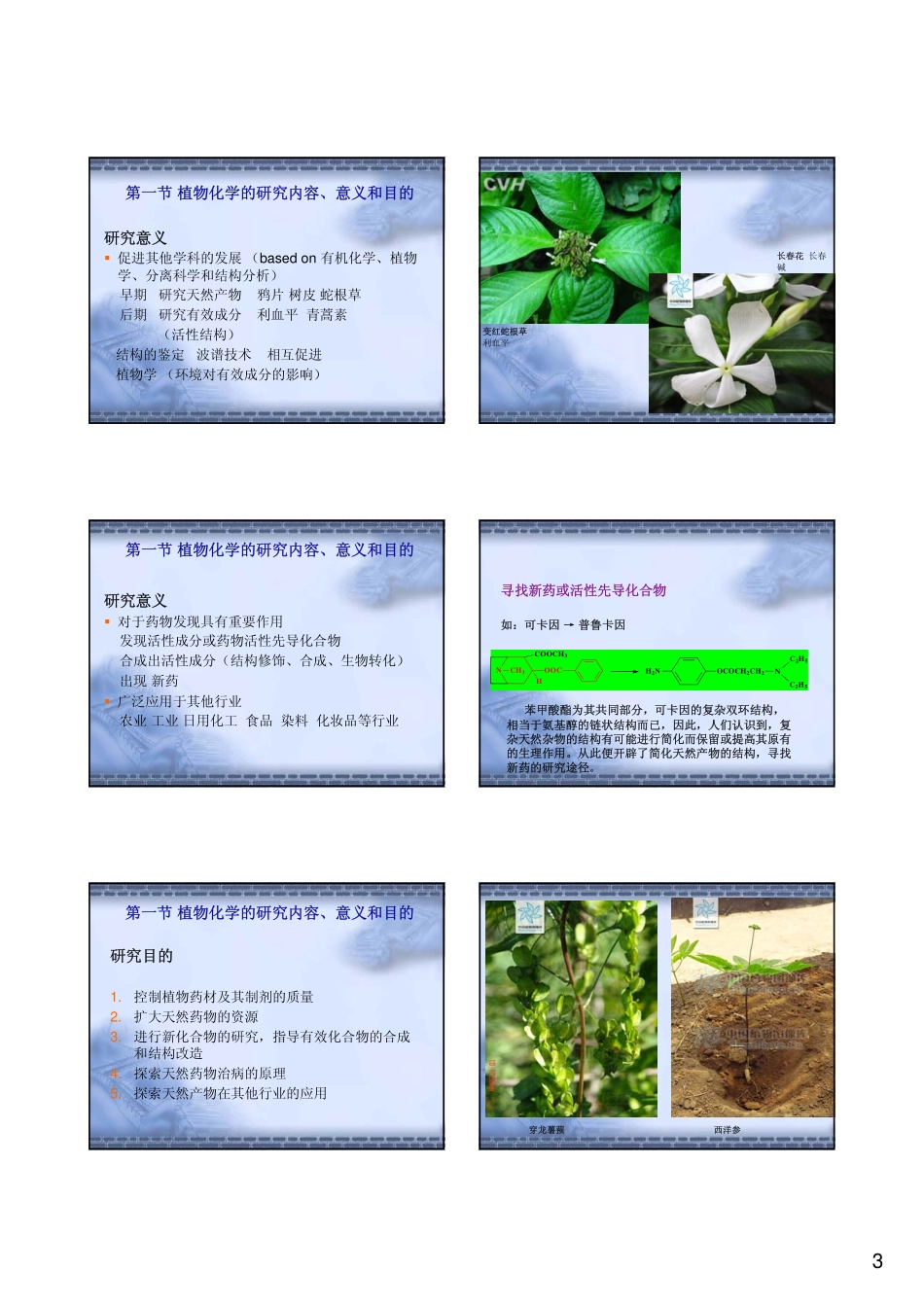 第一章 植物化学成分_第3页