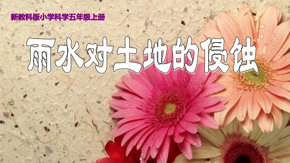 雨水对土地的侵蚀 (2)_第1页