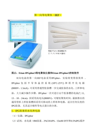 第一向等电聚焦系统