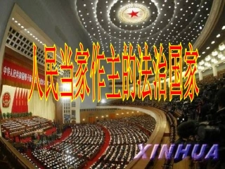 人教版九年级政治人民当家做主的法治国家