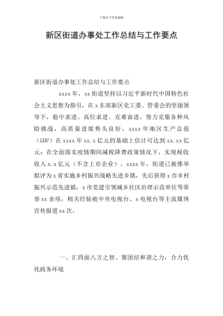 新区街道办事处工作总结与工作要点