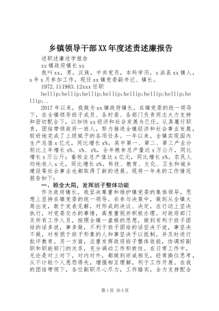 乡镇领导干部XX年度述责述廉报告