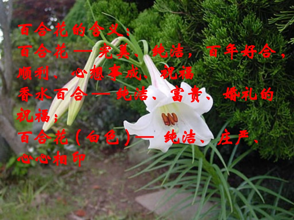 小说家谈小说_第2页