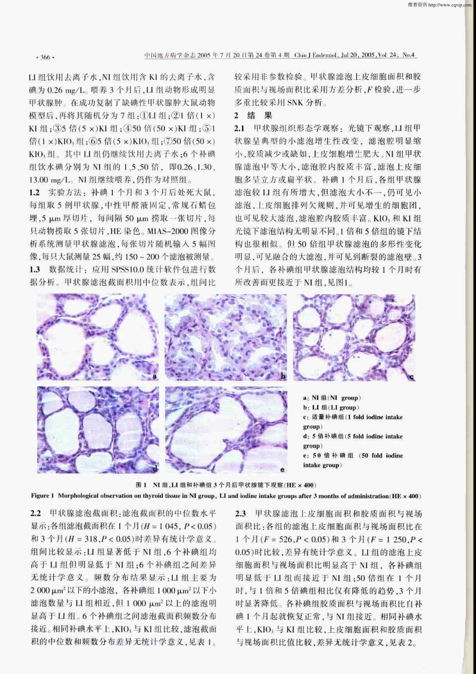 碘酸钾和碘化钾对缺碘性甲状腺肿大鼠补碘效果的定量形态学观察_第2页